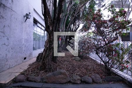 Casa para alugar com 379m², 5 quartos e 2 vagasJardim