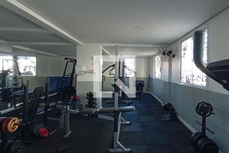 Área comum - Academia de apartamento para alugar com 2 quartos, 48m² em Parque Paineiras, São Paulo