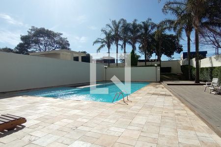 Área comum - Piscina de apartamento para alugar com 2 quartos, 48m² em Parque Paineiras, São Paulo