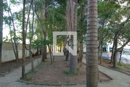 Área Comum - Pista de Cooper de apartamento para alugar com 2 quartos, 48m² em Parque Paineiras, São Paulo