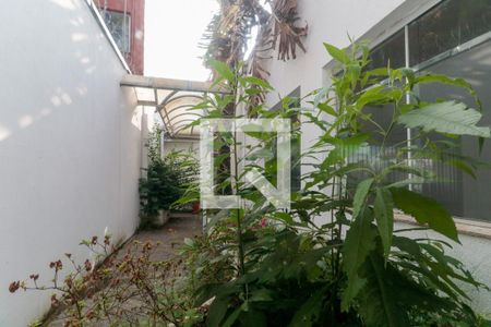 Casa para alugar com 220m², 2 quartos e 6 vagas Casa para alugar com 220m², 2 quartos e 6 vagasVista