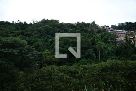 Vista do Quarto 1 de apartamento para alugar com 2 quartos, 45m² em Jardim Petrópolis, Cotia