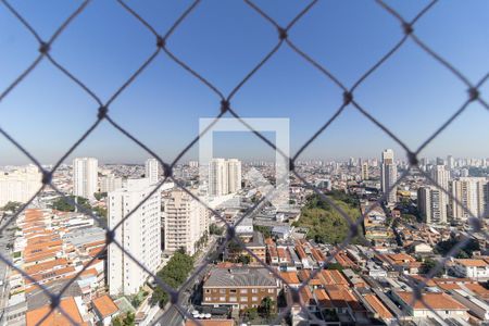 Vista da Varanda da Sala de apartamento para alugar com 2 quartos, 49m² em Vila Vera, São Paulo