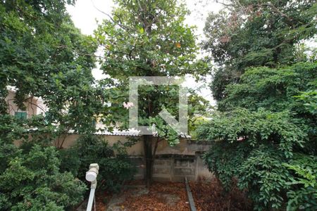 Apartamento para alugar com 25m², 1 quarto e sem vagaVista