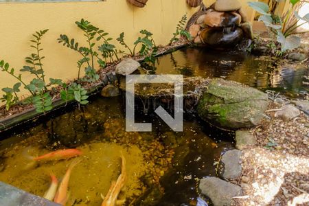 Casa à venda com 858m², 6 quartos e 6 vagasLago Entrada 