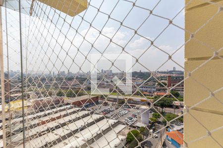 Apartamento à venda com 128m², 3 quartos e 3 vagasVista da Varanda Gourmet