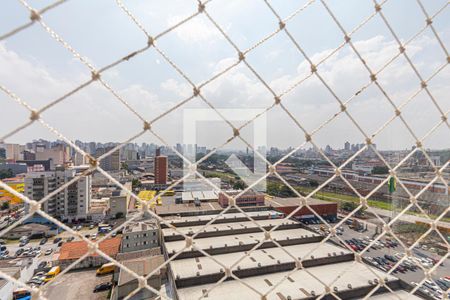 Apartamento à venda com 128m², 3 quartos e 3 vagasVista da Varanda Gourmet