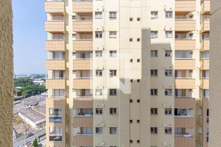Apartamento à venda com 128m², 3 quartos e 3 vagasVista da Cozinha