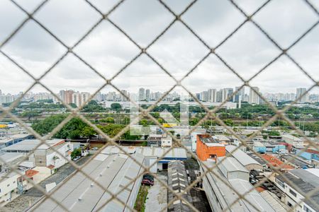 Vista Varanda da Sala de apartamento para alugar com 3 quartos, 77m² em Casa Verde, São Paulo