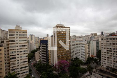 Vista de apartamento para alugar com 1 quarto, 36m² em Santa Cecilia, São Paulo