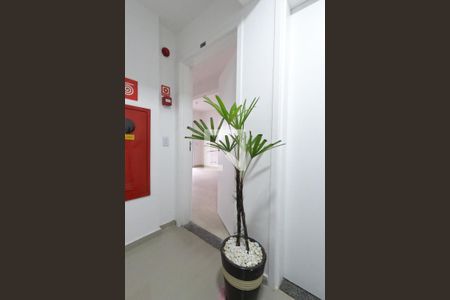 Apartamento à venda com 60m², 2 quartos e 1 vagaHall de Entrada