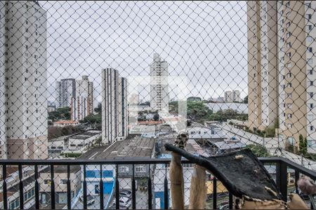 Vista de apartamento à venda com 1 quarto, 62m² em Vila Mascote, São Paulo