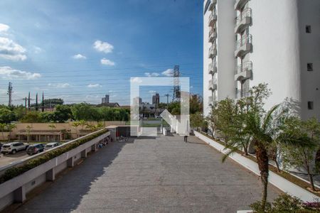 Vista da Suíte de apartamento para alugar com 4 quartos, 100m² em Jardim das Paineiras, Campinas