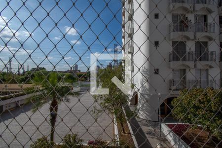 Vista da Varanda de apartamento para alugar com 4 quartos, 100m² em Jardim das Paineiras, Campinas