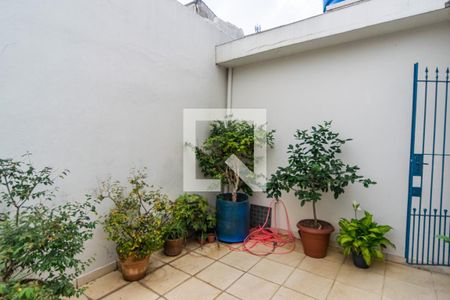 Casa para alugar com 184m², 3 quartos e sem vaga Casa para alugar com 184m², 3 quartos e sem vagaQuintal