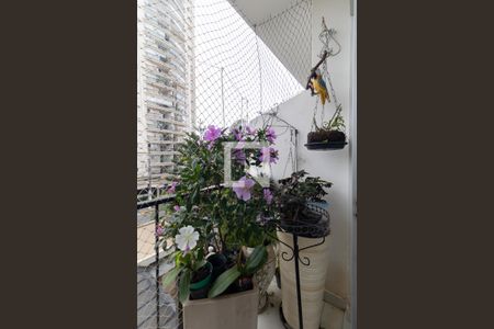 Varanda da Sala de apartamento à venda com 3 quartos, 92m² em Vila Gumercindo, São Paulo