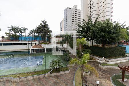 Apartamento para alugar com 134m², 3 quartos e 2 vagasVista da Cozinha 