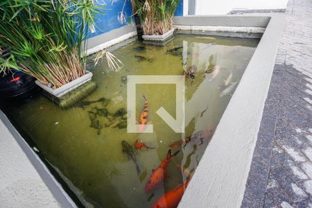 Apartamento à venda com 60m², 2 quartos e 1 vagaÁrea comum