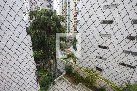 Apartamento à venda com 498m², 4 quartos e 4 vagas Apartamento à venda com 498m², 4 quartos e 4 vagasSuíte 2 Vista