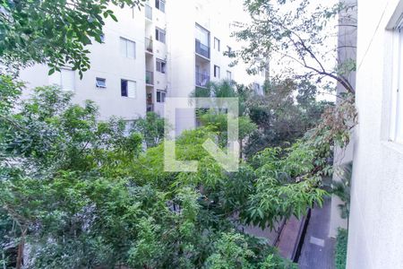 Vista da Sacada de apartamento para alugar com 2 quartos, 48m² em Vila Mendes, São Paulo