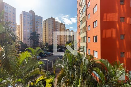 vista de apartamento para alugar com 3 quartos, 72m² em Piratininga, Osasco
