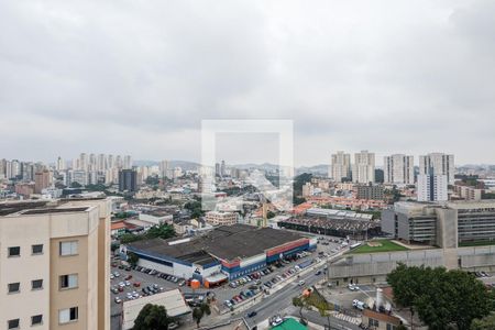 Apartamento à venda com 159m², 3 quartos e 3 vagasVista