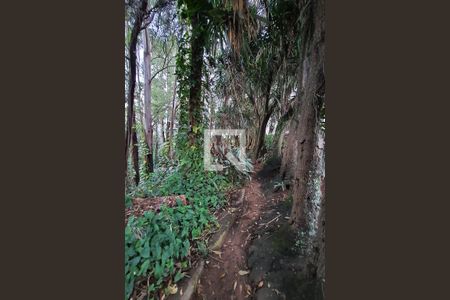 Apartamento à venda com 96m², 3 quartos e 1 vaga Apartamento à venda com 96m², 3 quartos e 1 vagaBosque