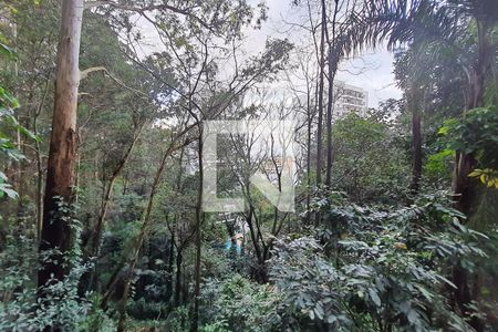 Apartamento à venda com 96m², 3 quartos e 1 vaga Apartamento à venda com 96m², 3 quartos e 1 vagaBosque