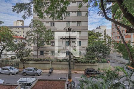 Vista da Sala de apartamento para alugar com 4 quartos, 220m² em Santo Antônio, Belo Horizonte