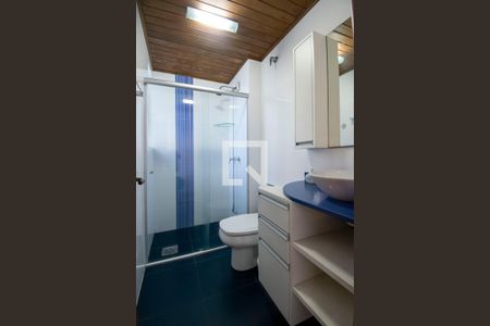 Banheiro Social de apartamento para alugar com 1 quarto, 38m² em Cristal, Porto Alegre