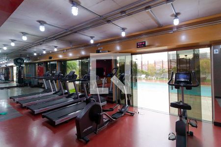 Apartamento à venda com 70m², 1 quarto e 1 vagaÁrea comum - Academia