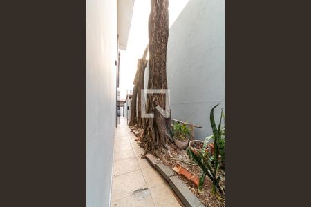 Casa para alugar com 370m², 5 quartos e 2 vagasÁrea Externa