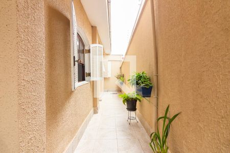 Casa para alugar com 50m², 1 quarto e 1 vaga Casa para alugar com 50m², 1 quarto e 1 vagaQuintal e Área de Serviço