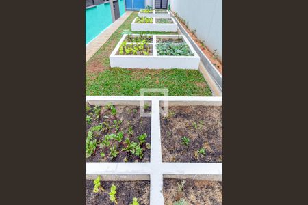 Apartamento à venda com 29m², 1 quarto e sem vagaÁrea comum - Horta