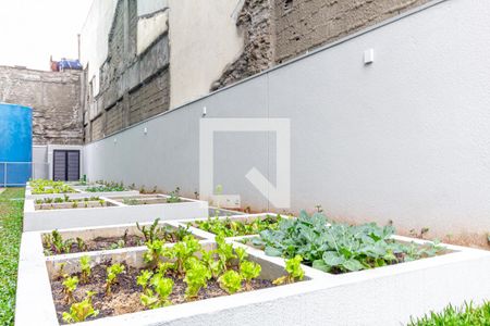 Apartamento à venda com 29m², 1 quarto e sem vagaÁrea comum - Horta