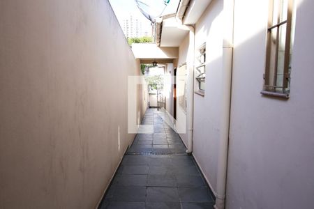 Casa à venda com 137m², 2 quartos e 2 vagas Casa à venda com 137m², 2 quartos e 2 vagasQuintal