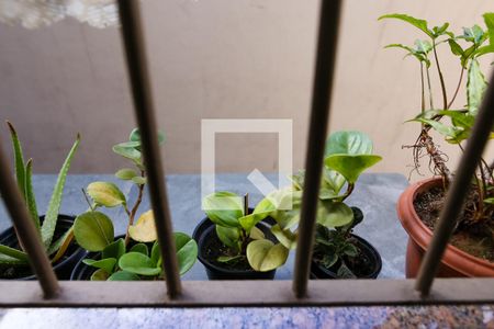 Casa à venda com 137m², 2 quartos e 2 vagas Casa à venda com 137m², 2 quartos e 2 vagasVista da Cozinha