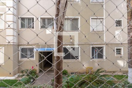 Vista da Sala de apartamento para alugar com 2 quartos, 49m² em Lot Parque São Martinho, Campinas