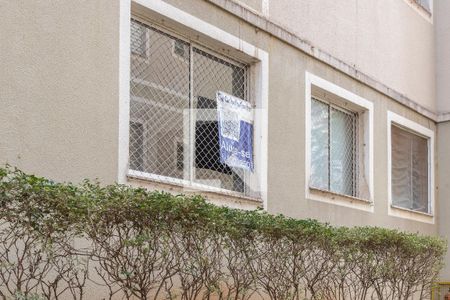 Janela da Sala e Plaquinha de apartamento para alugar com 2 quartos, 49m² em Lot Parque São Martinho, Campinas