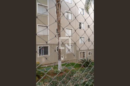 Vista do Quarto 1 de apartamento para alugar com 2 quartos, 49m² em Lot Parque São Martinho, Campinas