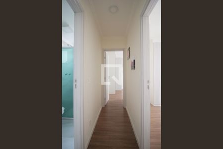 Corredor de apartamento para alugar com 2 quartos, 59m² em Jardim Parque Morumbi, São Paulo