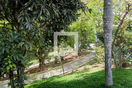 Apartamento à venda com 78m², 3 quartos e 2 vagasBosque