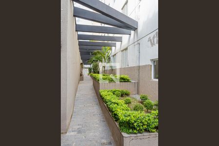 Apartamento à venda com 69m², 3 quartos e 2 vagasÁrea comum