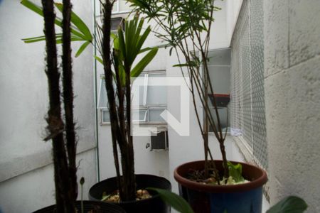 Apartamento para alugar com 70m², 2 quartos e 1 vaga Apartamento para alugar com 70m², 2 quartos e 1 vagaÁrea serviço vista