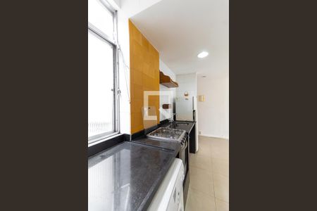 Apartamento para alugar com 47m², 1 quarto e sem vagaCozinha