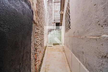 Casa para alugar com 60m², 1 quarto e sem vagaQuintal