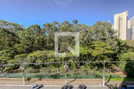 Apartamento à venda com 79m², 3 quartos e 1 vagaVista do Quarto 2