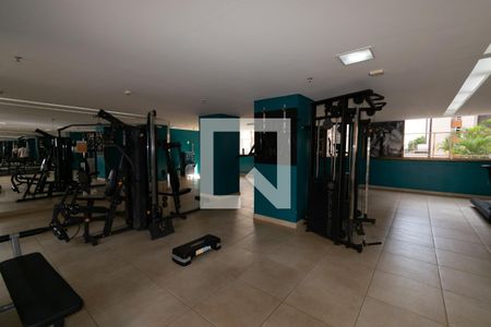 Studio para alugar com 27m², 1 quarto e 1 vagaAcademia