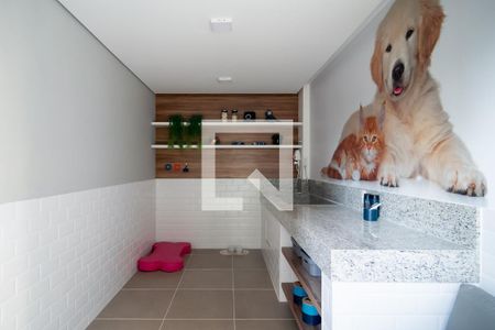 Apartamento para alugar com 32m², 1 quarto e sem vagaPet Place