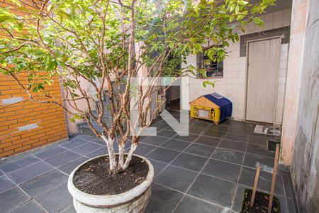 Casa à venda com 115m², 2 quartos e 1 vaga Casa à venda com 115m², 2 quartos e 1 vagaQuintal